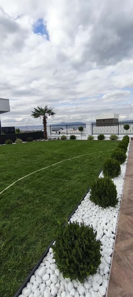 Kendi uygulamamız — Çim alanı, beyaz çakıl bordür ve palmiye ile sade villa düzenlemesi